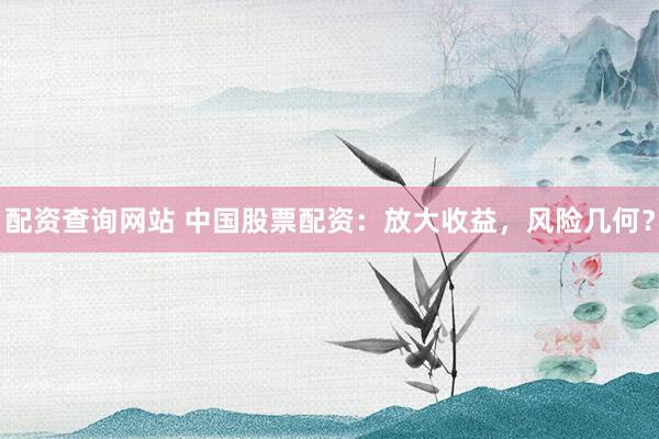 配资查询网站 中国股票配资：放大收益，风险几何？