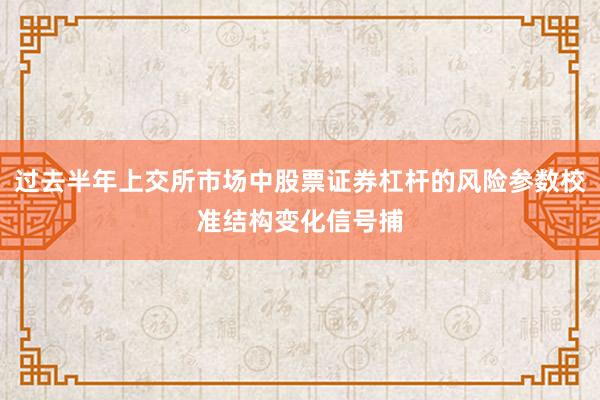 过去半年上交所市场中股票证券杠杆的风险参数校准结构变化信号捕