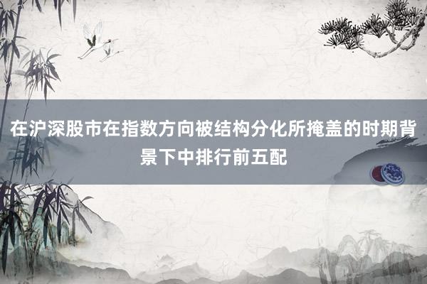 在沪深股市在指数方向被结构分化所掩盖的时期背景下中排行前五配