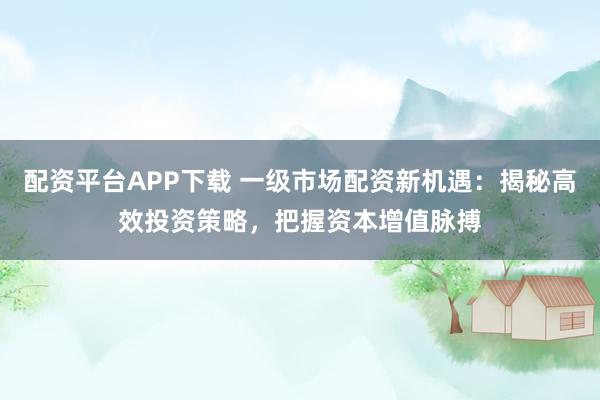 配资平台APP下载 一级市场配资新机遇：揭秘高效投资策略，把握资本增值脉搏