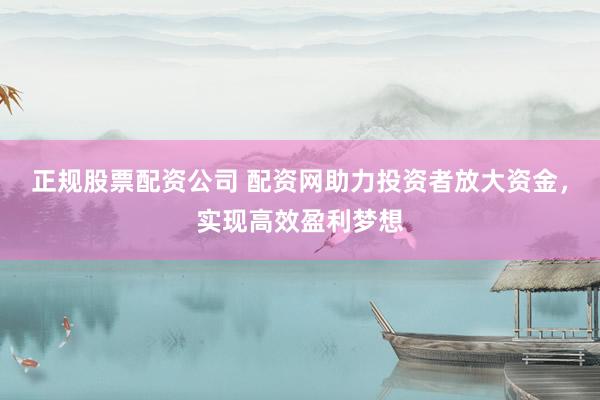 正规股票配资公司 配资网助力投资者放大资金，实现高效盈利梦想