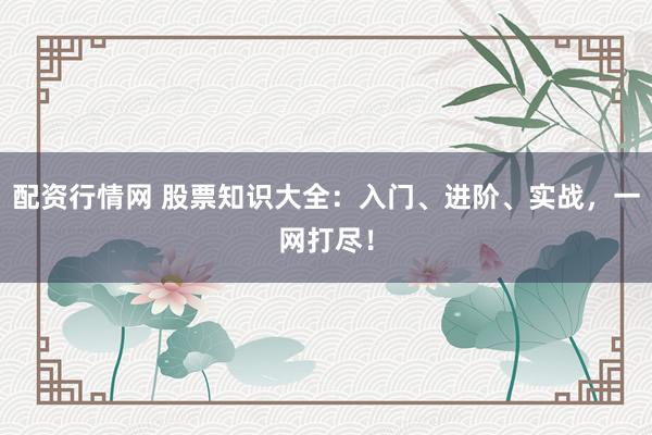 配资行情网 股票知识大全：入门、进阶、实战，一网打尽！